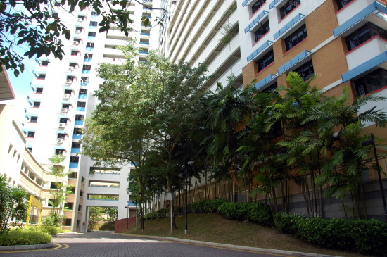Blk 533 Bukit Panjang Ring Road (Bukit Panjang), HDB 4 Rooms #212882